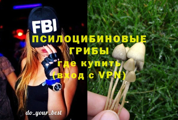 шишки Михайловка