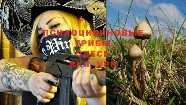 шишки Михайловка